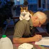 Entry image for Camille, Daddy's girl. Likes to assist with his reading or puzzling. 