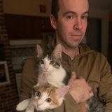 Entry image for Cat Cup Overfloweth