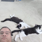 Entry image for Alec Latte and Mochi