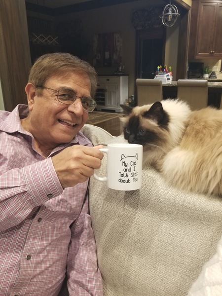 Entry image for Vinay and Mittens. Clicking this image will show a larger photo