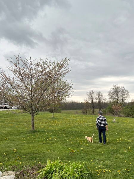 Entry image for The Last Stroll with Kater. Clicking this image will show a larger photo