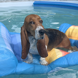 Entry image for Maggie Mae