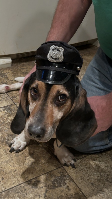 Entry image for Otis. Clicking this image will show a larger photo
