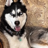 Entry image for Skye