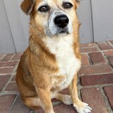 Entry image for Lucy