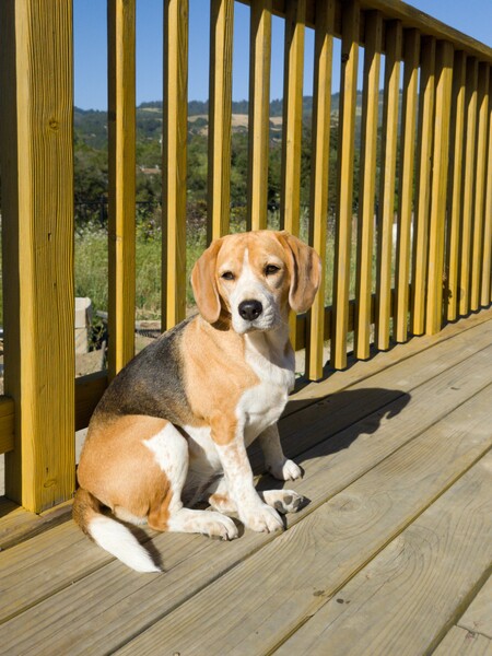 Entry image for Freida. Clicking this image will show a larger photo