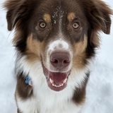 Entry image for Rory