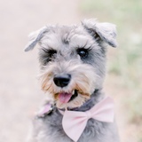 Entry image for Molly