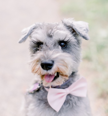 Entry image for Molly. Clicking this image will show a larger photo
