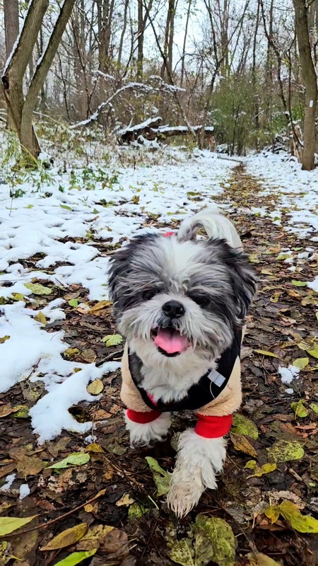 Entry image for Franklin "Ralphie" Ralphredo . Clicking this image will show a larger photo