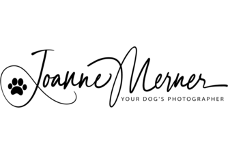 Joanne Merner