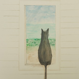 Entry image for Ali Stephens, The Lookout