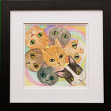 Entry image for Ann Stephenson, Catleidoscope