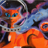 Entry image for Heidi Nolan, Catstronaut