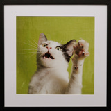 Entry image for Raphye Alexius, High Five, Lennox!