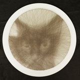 Entry image for Rick Vanevenhoven, Visions of a Void, monofilament thread