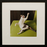 Entry image for Raphye Alexius, High Five, Annie!