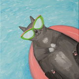 Entry image for Ali Stephens, Cat Eyes