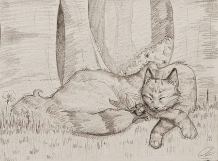Entry image for Isabelle Cuchins, Nap. Clicking this image will show a larger photo