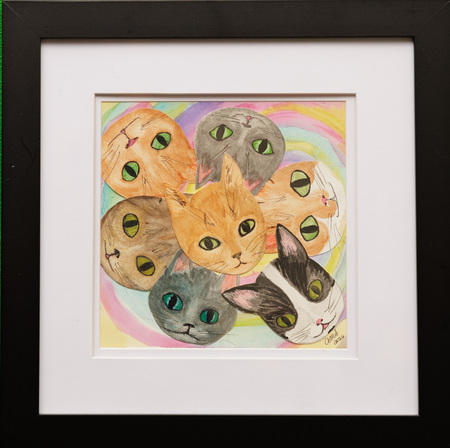 Entry image for Ann Stephenson, Catleidoscope. Clicking this image will show a larger photo