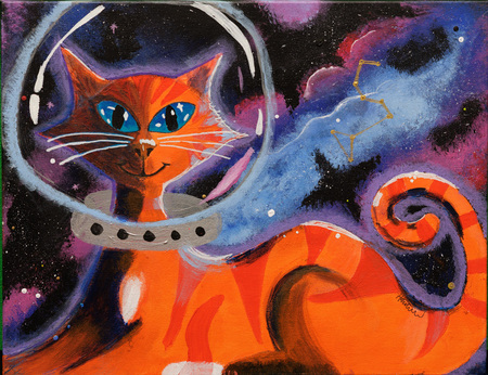 Entry image for Heidi Nolan, Catstronaut. Clicking this image will show a larger photo
