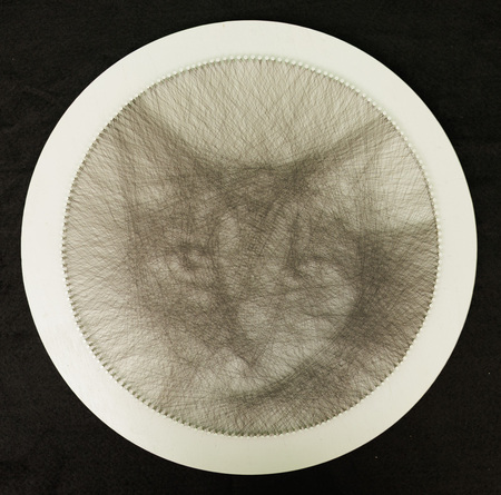 Entry image for Rick Vanevenhoven, Visions of a Tabby, monofilament thread. Clicking this image will show a larger photo