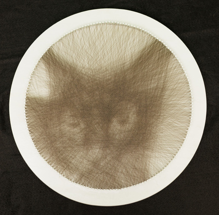 Entry image for Rick Vanevenhoven, Visions of a Void, monofilament thread. Clicking this image will show a larger photo