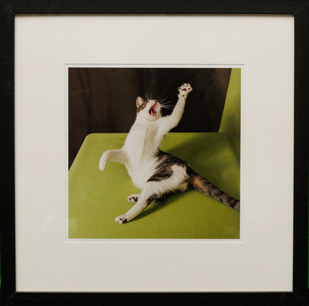 Entry image for Raphye Alexius, High Five, Annie!. Clicking this image will show a larger photo