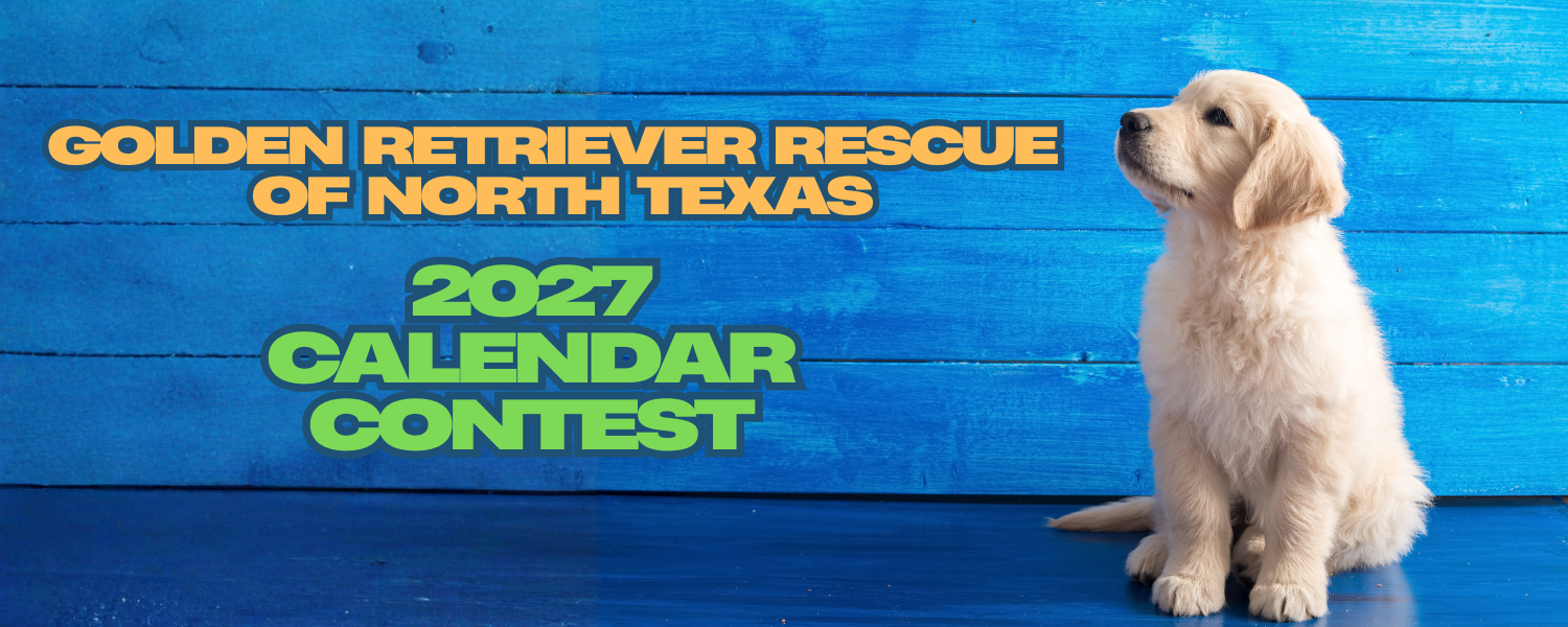 Banner for 2027 Golden Retriever Rescue of North Texas Calendar Contest