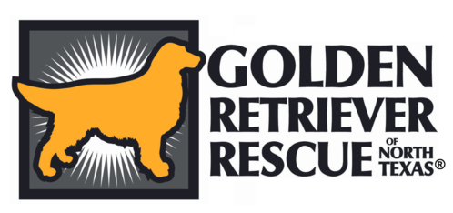 Logo for 2027 Golden Retriever Rescue of North Texas Calendar Contest