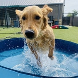Entry image for Maddie