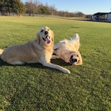 Entry image for Gracie & Kara 