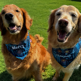Entry image for Mercy and Hannah