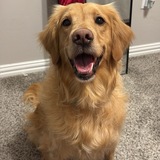 Entry image for Daisy Mae