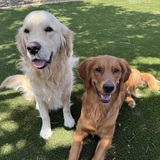 Entry image for Tucker & Emmie
