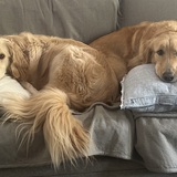 Entry image for Barry and Teddy