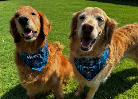 Entry image for Mercy and Hannah. Clicking this image will show a larger photo