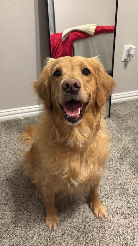 Entry image for Daisy Mae. Clicking this image will show a larger photo