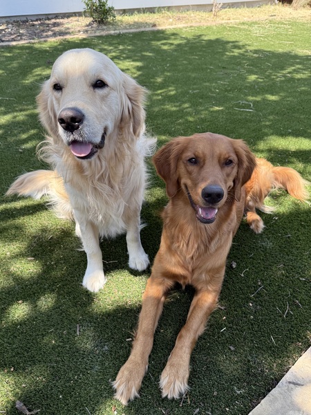Entry image for Tucker & Emmie. Clicking this image will show a larger photo