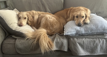 Entry image for Barry and Teddy. Clicking this image will show a larger photo