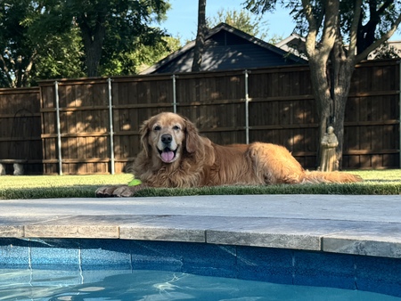 Entry image for Poncho's Backyard . Clicking this image will show a larger photo