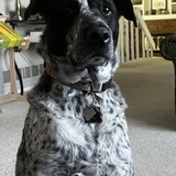 Entry image for Rory