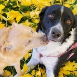 Entry image for Kiana and Jada