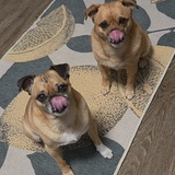 Entry image for George and Wrigley