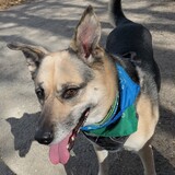 Entry image for Bella