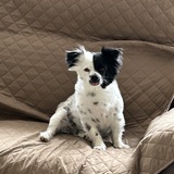 Entry image for Lucky