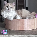 Entry image for Snickers
