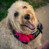 Entry image for Zoey