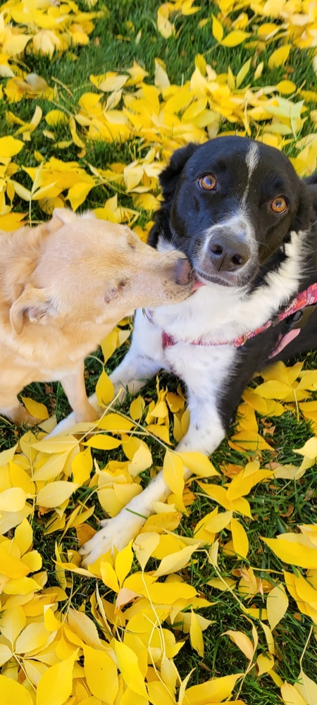 Entry image for Kiana and Jada. Clicking this image will show a larger photo