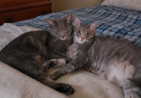 Entry image for Bert & Ernie. Clicking this image will show a larger photo